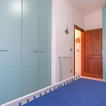 Sole Di Sarda